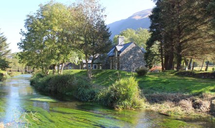 1 Bed in Tywyn 1