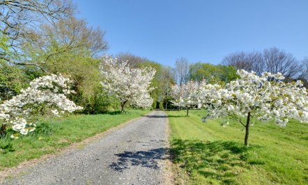 1 Bed in Broad Oak 9