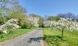 1 Bed in Broad Oak 9