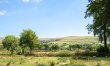 3 Bed in Mary Tavy 3