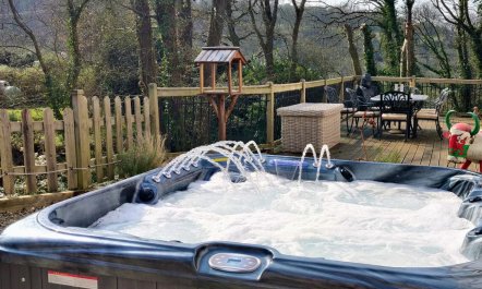 4 Bed in Tresaith 1