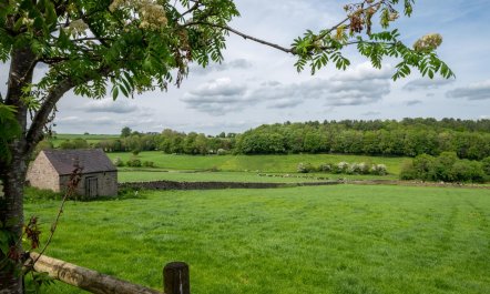 1 Bed in Alderwasley 1