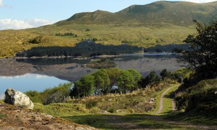 3 Bed in Waterville 2