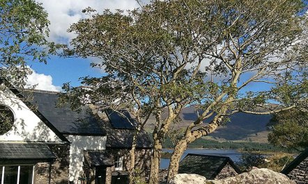 3 Bed in Waterville 5