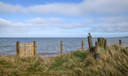 1 Bed in Seasalter 4