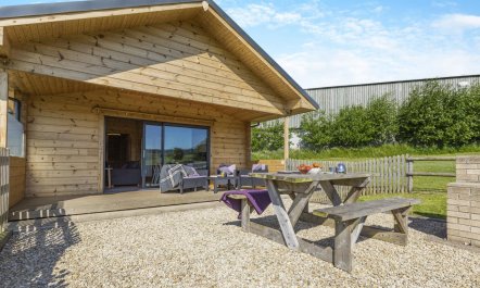3 Bed in Buckland St. Mary 1