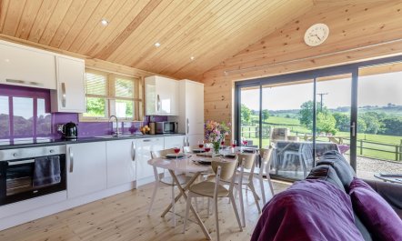 3 Bed in Buckland St. Mary