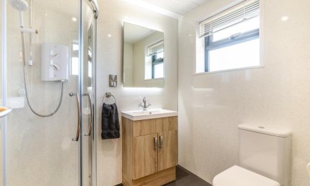 3 Bed in Buckland St. Mary 9