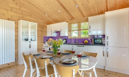 3 Bed in Buckland St. Mary 4