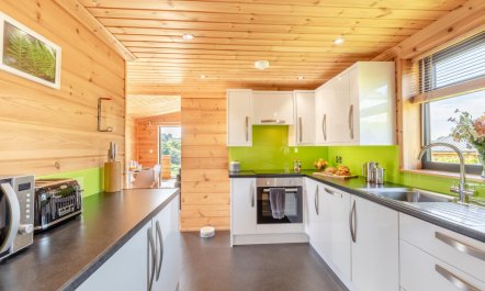 1 Bed in Buckland St. Mary 6