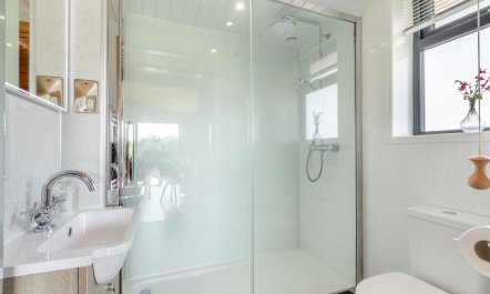 1 Bed in Buckland St. Mary 9
