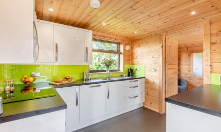 1 Bed in Buckland St. Mary 5