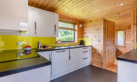 1 Bed in Buckland St. Mary 9