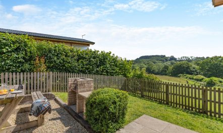 1 Bed in Buckland St. Mary 6