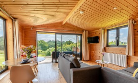 1 Bed in Buckland St. Mary 1