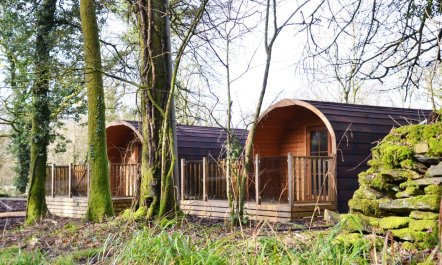 1 Bed in Newby Bridge 4