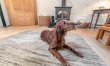 3 Bed in Gwennap 8