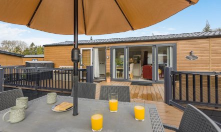 2 Bed in Gilfachrheda 3