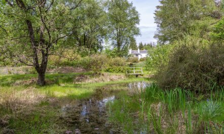 1 Bed in Taynuilt 6