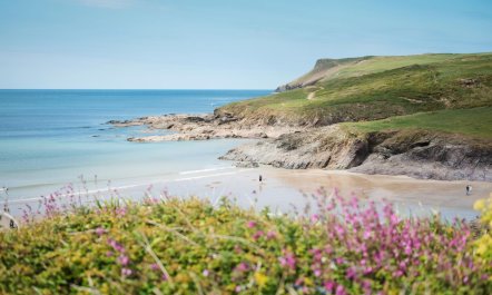 2 Bed in Polzeath 4
