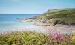 2 Bed in Polzeath 4
