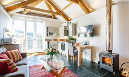 1 Bed in St. Minver 4