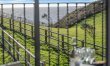 2 Bed in Bonchurch 6