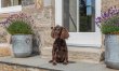 2 Bed in Monymusk 3