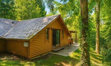 3 Bed in Webbery 5