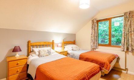 3 Bed in Webbery 7
