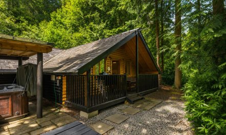 3 Bed in Webbery 5
