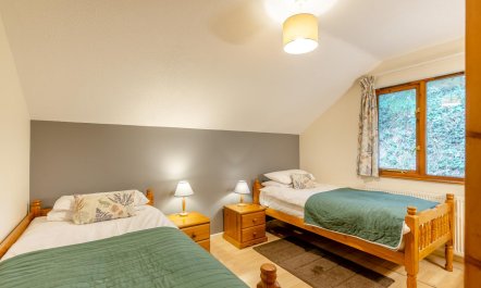 3 Bed in Webbery 8