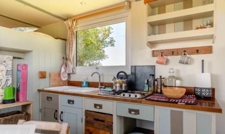 1 Bed in Solva 8