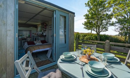 1 Bed in Solva 1