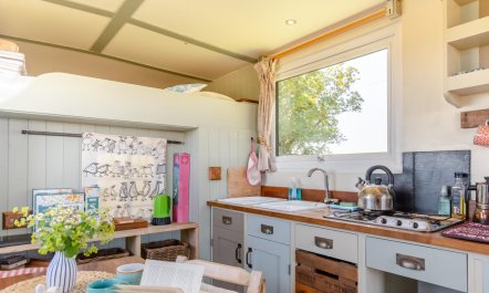 1 Bed in Solva 4