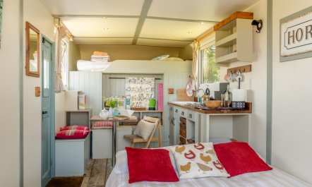 1 Bed in Solva 3