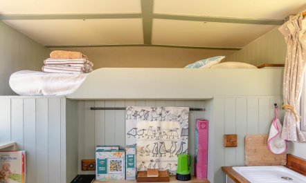 1 Bed in Solva 9