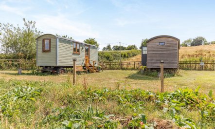 1 Bed in Washfield 5
