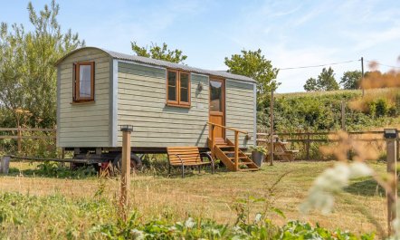 1 Bed in Washfield 6