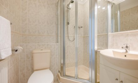4 Bed in Newquay 5