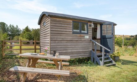 1 Bed in Washfield 3