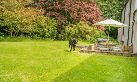 2 Bed in Newtyle 6