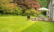 2 Bed in Newtyle 6