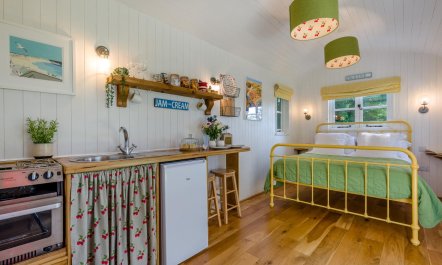 1 Bed in Trewidland 5