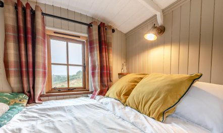1 Bed in East Down 9