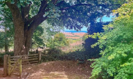 2 Bed in Higher Eype 1