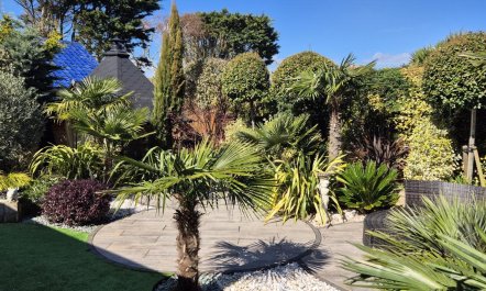 4 Bed in Milford On Sea 8