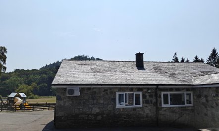 4 Bed in Llandderfel 2