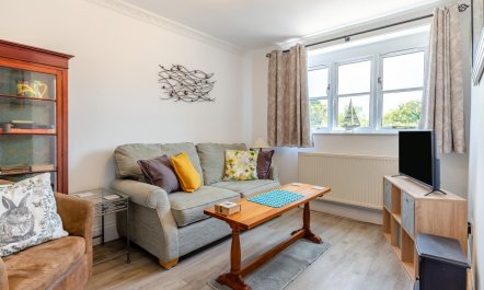3 Bed in Appledore 8
