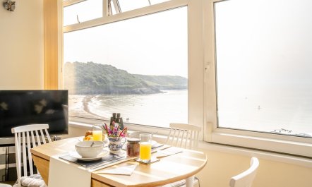1 Bed in Caswell Bay 5